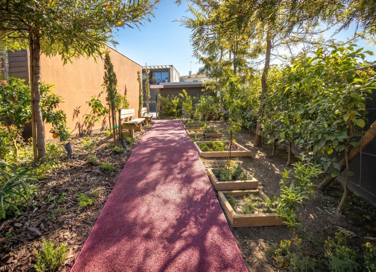 Vale De Sao Torcato Hotel Rural Guimaraes Ngoại thất bức ảnh